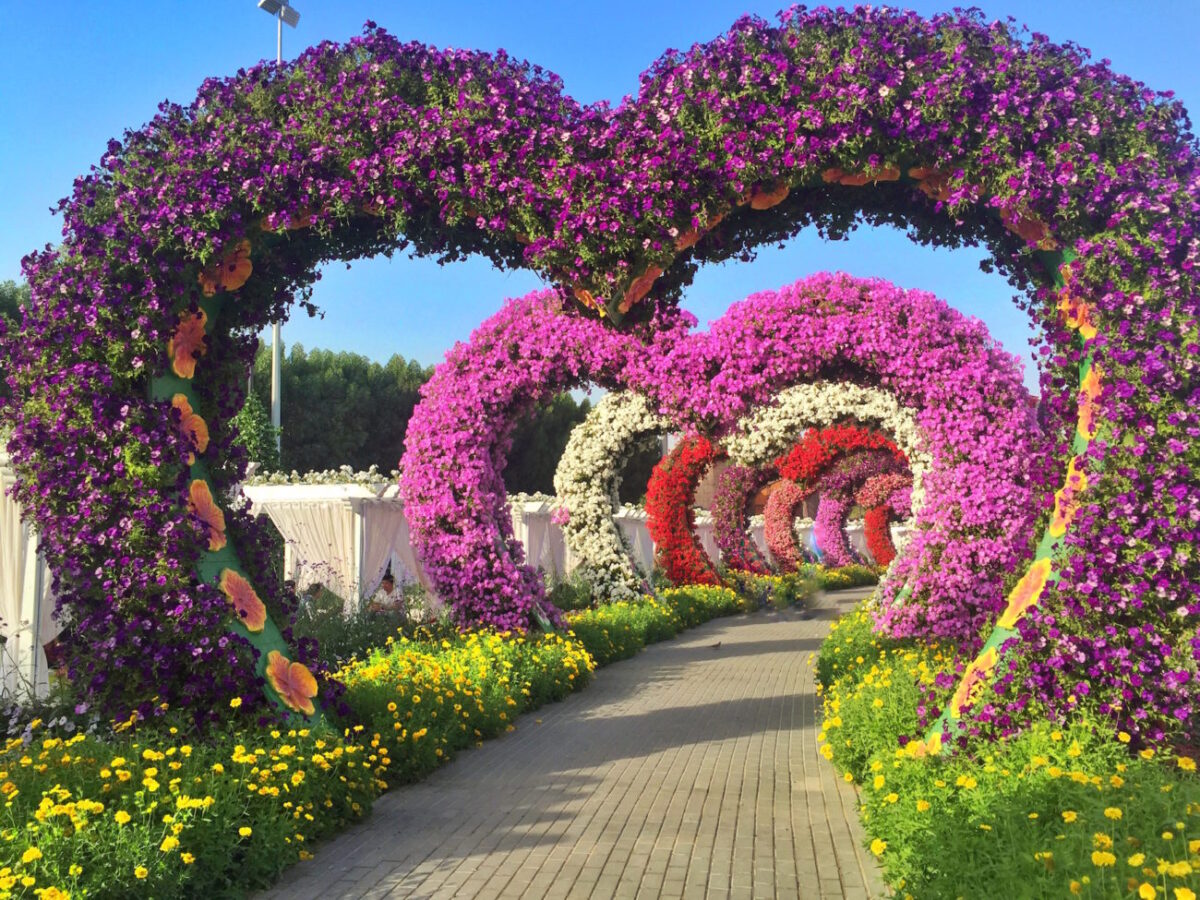 Why Dubai Miracle Gardens Is An Instagram Addict S Paradise