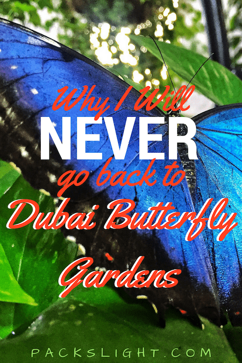 Dubai has a stunning, wonderful garden full of imported butterflies... and I will never go back. Read to find out why.
