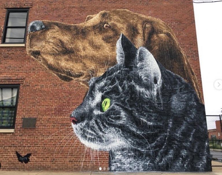 The Stunning Street Art of Richmond, VA