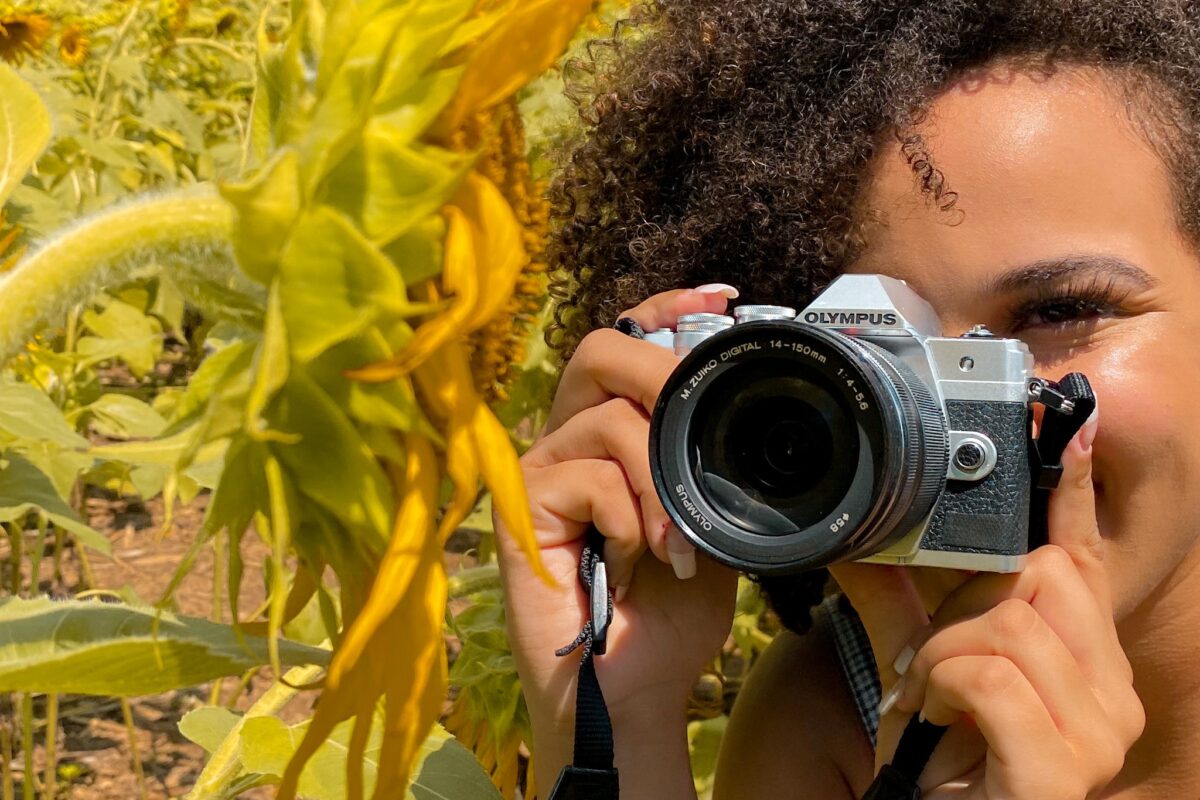 Olympus E-MD MarkVI Sunflower Fields6