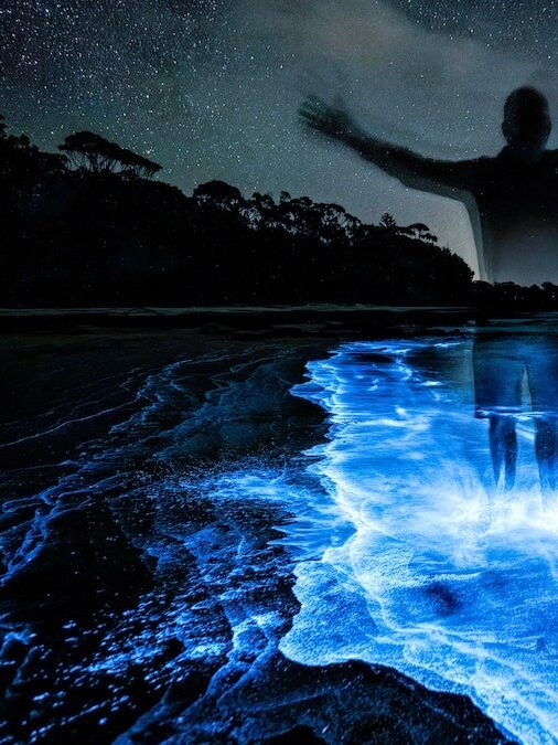 U.S. Virgin Is;ands Bioluminescent Bay